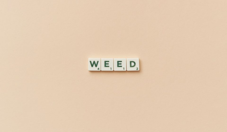 Week in Weed - June 13, 2026 - StratCann