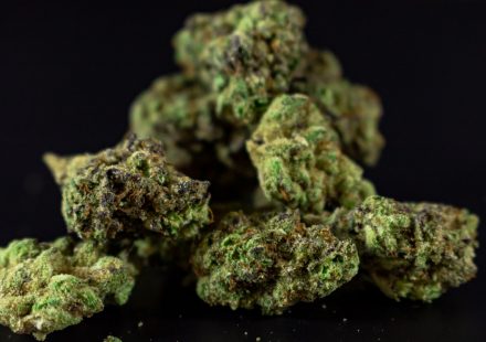 Tilray Medical Germany Launches ARX, a Premium Cannabis Brand Cultivated in Germany