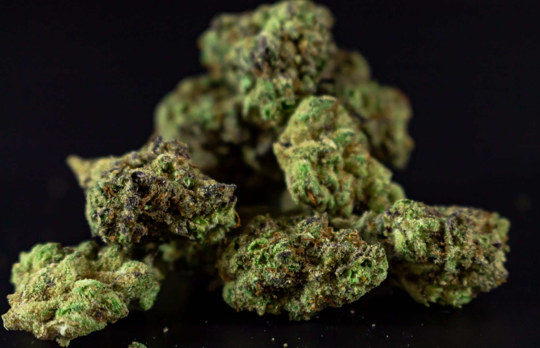 Tilray Medical Germany Launches ARX, a Premium Cannabis Brand Cultivated in Germany