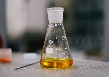 Munjal Acharya: New Study Demonstrates CBD's Neuroprotective Potential in Chemobrain