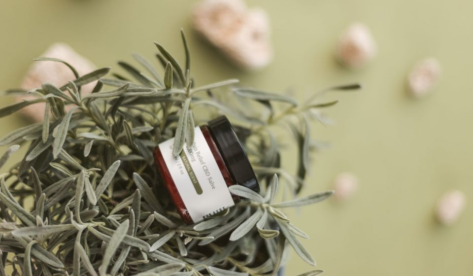 Upgraded Calming CBD Salves
