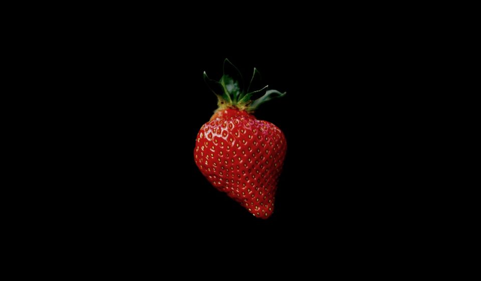 Strawberry Cough Strain: History, Effects, Terpenes, and Everything Yo