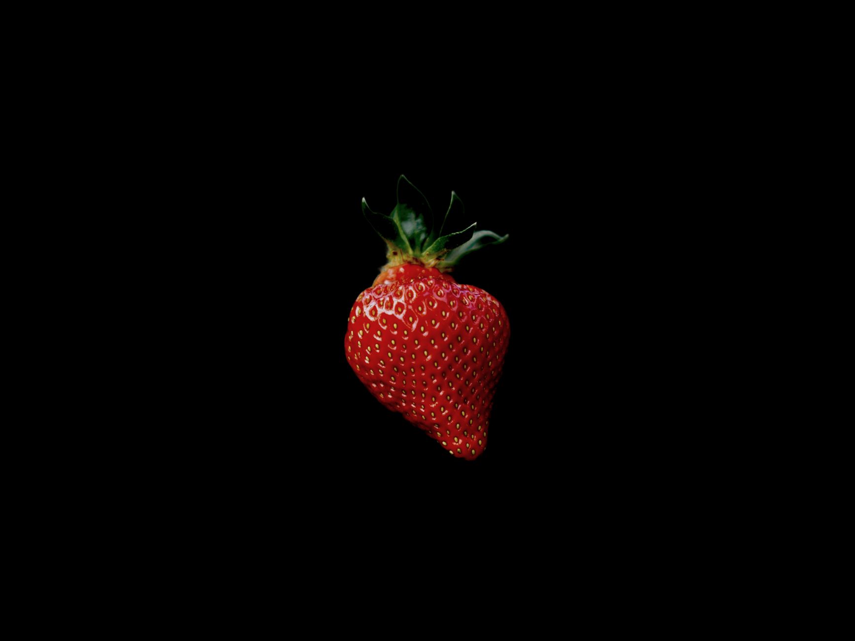 CED Clinic: Personalized Cannabis Medicine 350 Strawberry Cough Strain: History, Effects, Terpenes, and Everything Yo