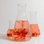 Anandamide - Chemical of Blissfulness