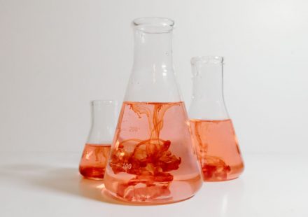 Anandamide - Chemical of Blissfulness