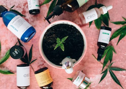 Mixture of sesame oil linseed oil 9 1 cannabis extract avextra 10 10 solution clinical trials