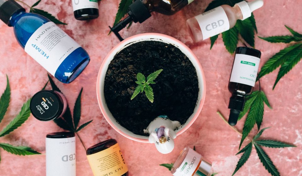 Mixture of sesame oil linseed oil 9 1 cannabis extract avextra 10 10 solution clinical trials