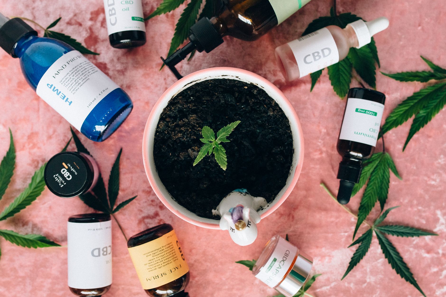 CED Clinic: Personalized Cannabis Medicine 358 Avextra 10/10 Cannabis Extract in Sesame Linseed Oil Shows Promise