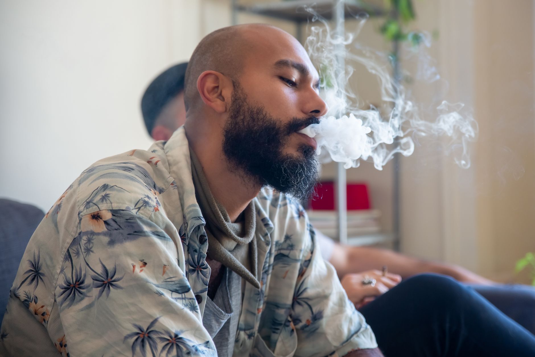 UP IN SMOKE: New research casts doubt on cannabis benefits