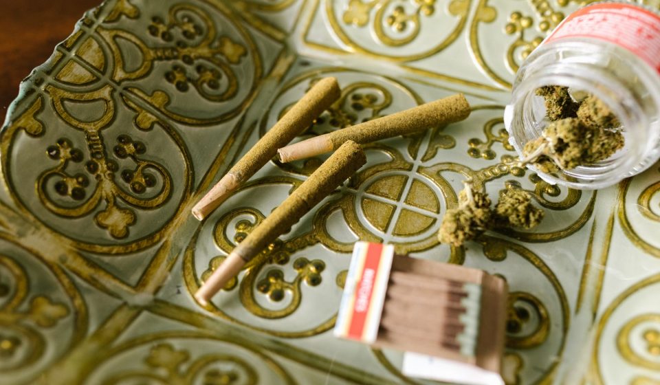 20 years later, New Zealand scraps licensing and sets THC limit for hemp at 1.0%