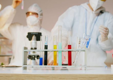 How a Prospect business owner makes a difference through cannabis - pmg-ky1.com