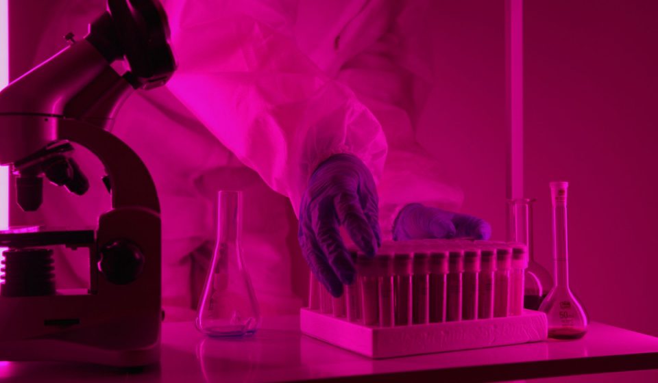 Cannabis RCT Study: Fibromyalgia, Rheumatism & Osteoarthritis | Hanf Magazin