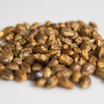 Hemp Seed Oil Nanoemulgel Shows Promise for Treating Psoriasis