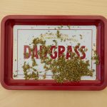 ASX Cannabis Stocks: Why Product Quality And Cash Flow Now Matter More Than Hype