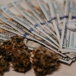 Cannabis Warning Label Regulations and Characteristics in US States with Medical and ...