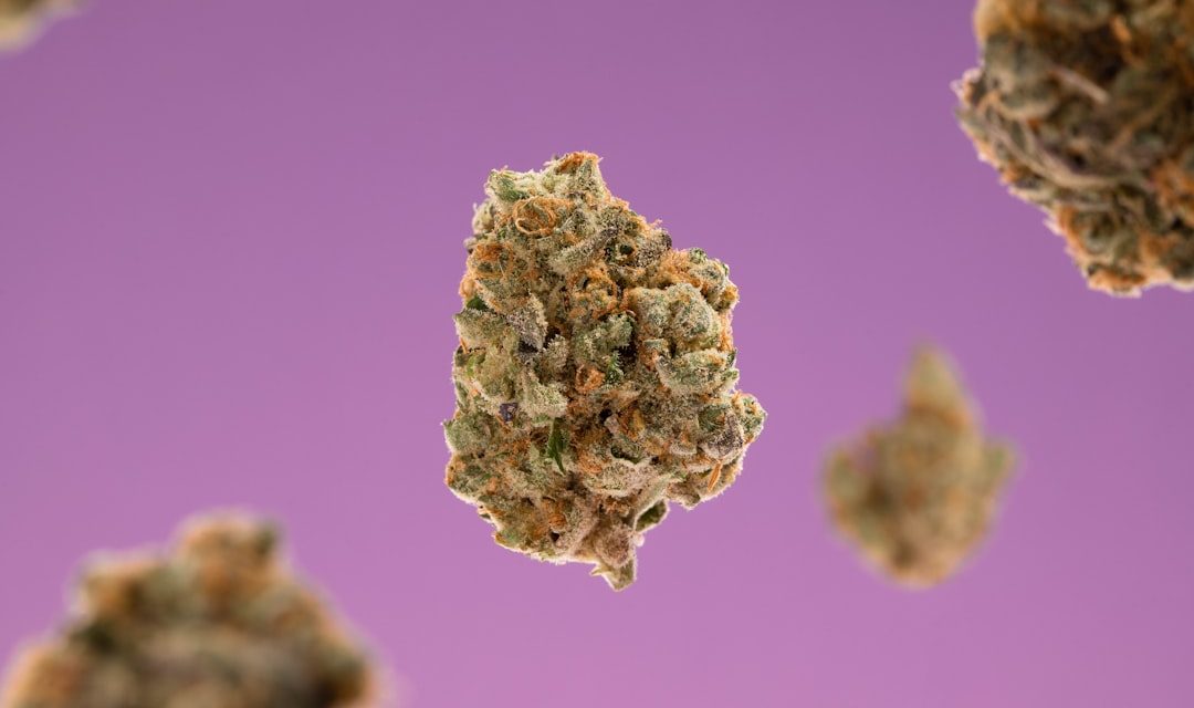 Medical Cannabis: Doctors Prescribe Little THC and CBD #shorts