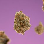 Medical Cannabis: Doctors Prescribe Little THC and CBD #shorts