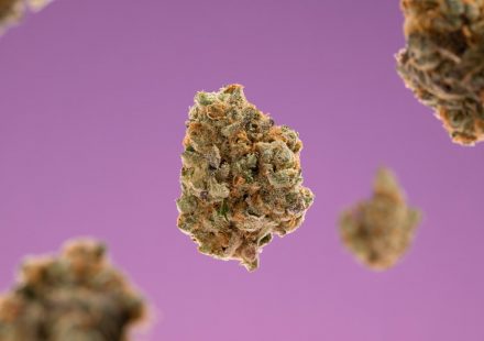 Medical Cannabis: Doctors Prescribe Little THC and CBD #shorts
