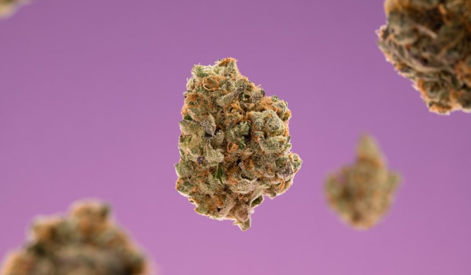Medical Cannabis: Doctors Prescribe Little THC and CBD #shorts