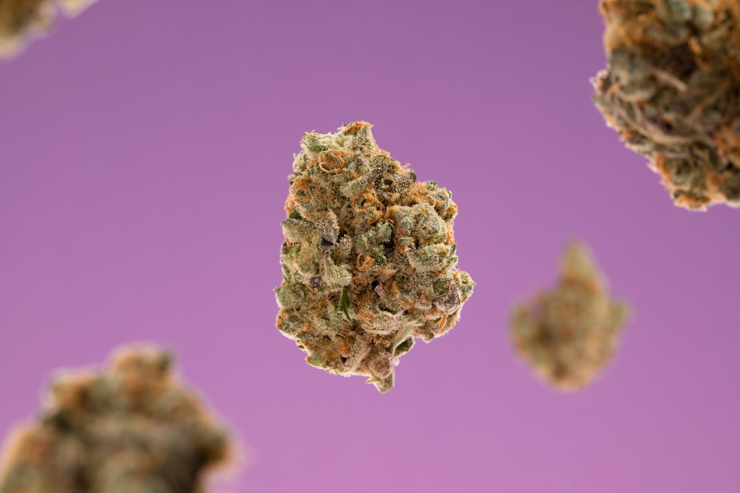 CED Clinic: Personalized Cannabis Medicine 349 Medical Cannabis: Doctors Prescribe Little THC and CBD #shorts