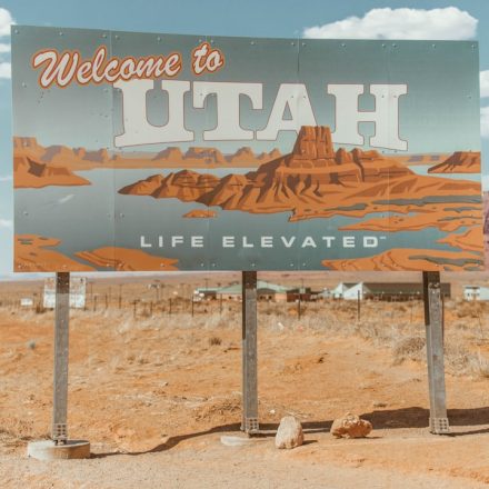 Utah Medical Cannabis Program By The Numbers
