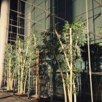 French Medical Cannabis Experiment Yields "Positive" Effects
