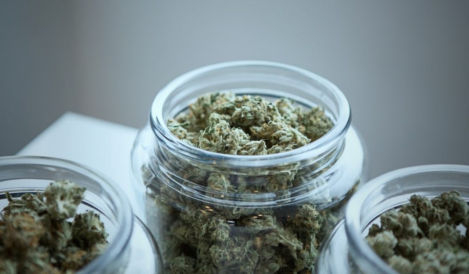 Only 1 in 3 Older Adults Screened for Cannabis, Drug Use