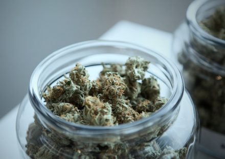 How Medical Marijuana Recommendations Expand Care