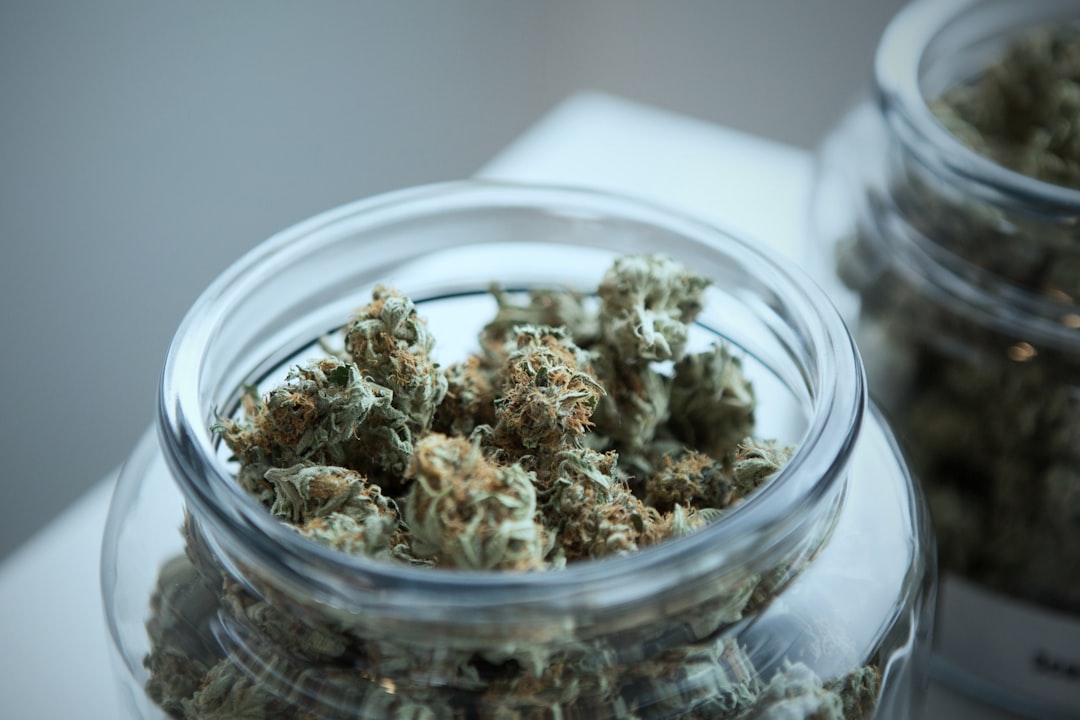 How Medical Marijuana Recommendations Expand Care 31 How Medical Marijuana Recommendations Expand Care