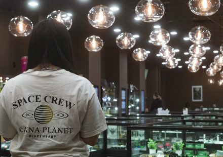 Study shows branding on cannabis products appeals to youth - News-Medical.Net