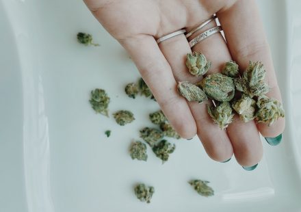 Medical Cannabis for Alzheimer's Disease