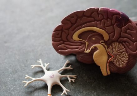 Cannabinoids, CB2, and Neuroinflammation Biology