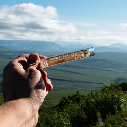 Opinion: Cannabis, medicine and the crisis of public trust - Anchorage Daily News