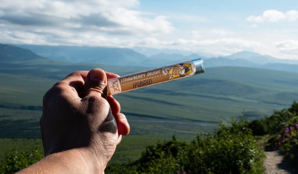 Opinion: Cannabis, medicine and the crisis of public trust - Anchorage Daily News