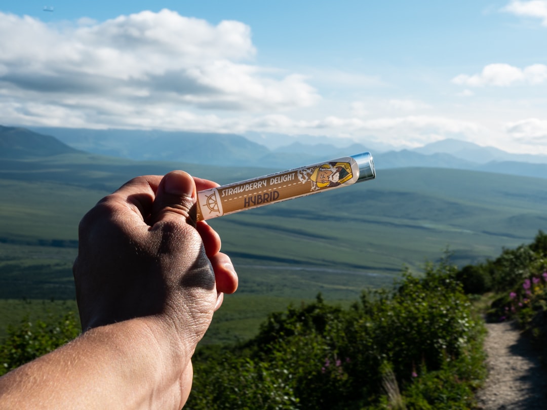 Opinion: Cannabis, medicine and the crisis of public trust – Anchorage Daily News