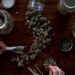 What Are Terpenes in Cannabis?