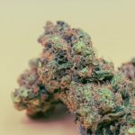Sour Diesel Strain: The Complete Guide to Effects, Terpenes, and Uses