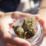 Legalized Cannabis Does Not Increase Consumption