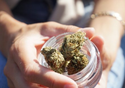 Legalized Cannabis Does Not Increase Consumption