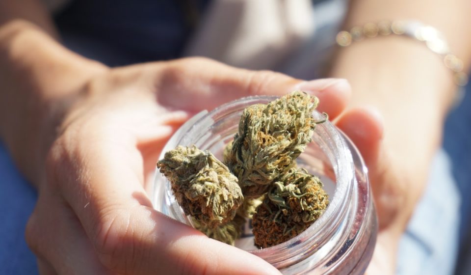 Legalized Cannabis Does Not Increase Consumption