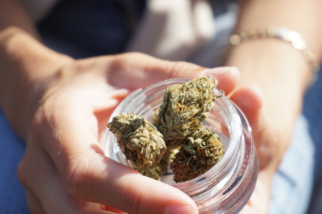 Legalized Cannabis Does Not Increase Consumption