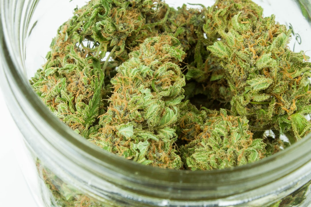 Cannabis worth an estimated €4.2m seized - MSN