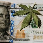 Amendments To Keep Hemp THC Products Federally Legal Won't Get Votes ... - Marijuana Moment