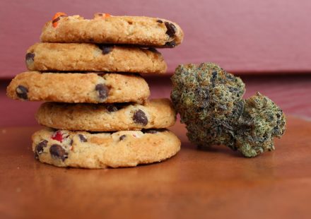Cannabis Use Linked to GERD Risks