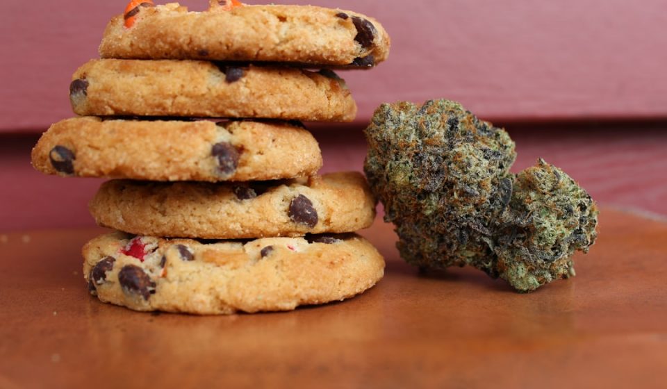 Cannabis Use Linked to GERD Risks