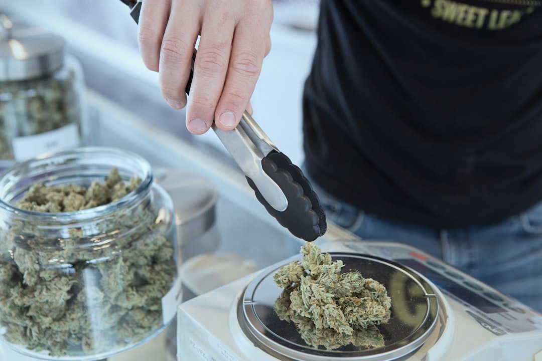 Cannabis Terpenes Explained: Why They Matter When You Shop at a Dispensary