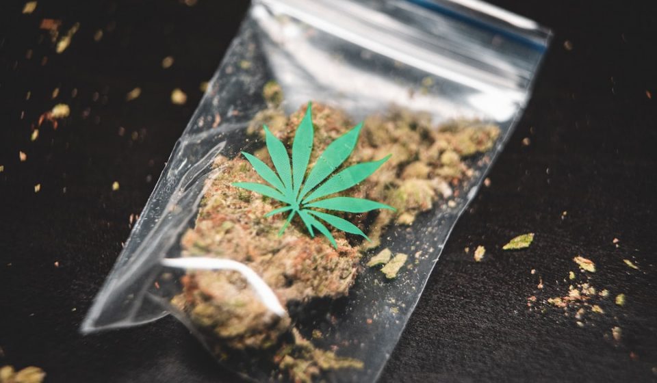 Cannabis Attorney Shawn Hauser Discusses TSA Medical Marijuana Policy Following ...