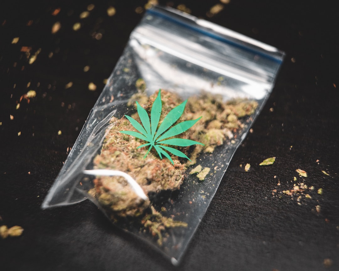 CED Clinic: Personalized Cannabis Medicine 279 Cannabis Attorney Shawn Hauser Discusses TSA Medical Marijuana Policy Following …