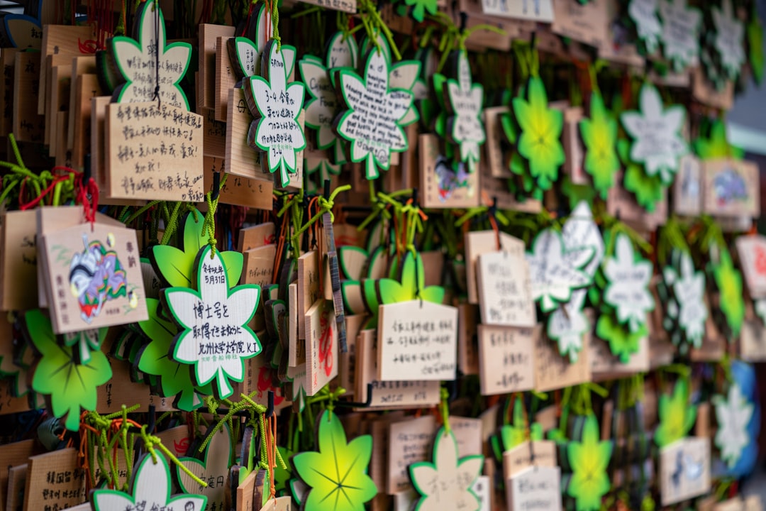 WNBA Removes Marijuana From Banned Substances List And Sets Rules For Player ...