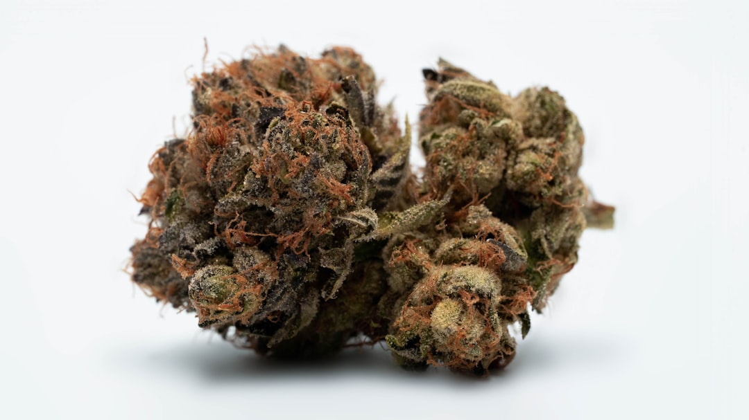 CED Clinic: Personalized Cannabis Medicine 307 Cannabis Use in Early-Onset Psychosis: What the New Meta-Analysis Shows